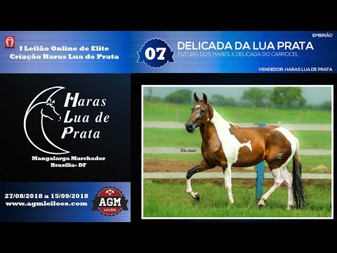 7 EMBRIÃO DELICADA LUA DE PRATA x HOTRILHO DA FIGUEIRA OU QUINADO BAVÁRIA