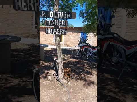 parador la Olivia ruta Provincial 2sn villa de praga san luis