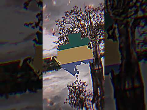 Gabon vs Malawi #viral #capcut #trend