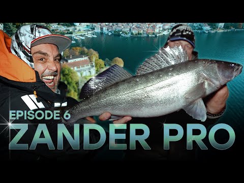 ZANDER PRO 5 - Episode 6