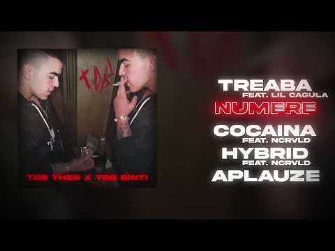 FBD Theo x TDB Binti - Numere