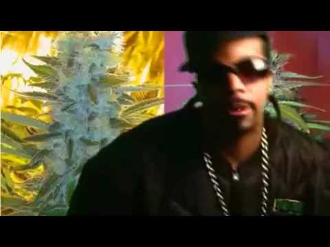 Lil' Flip - Pass Da Swisha