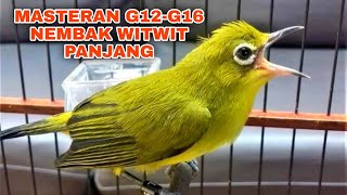 Download lagu MASTERAN PLECI NEMBAK WITWIT PANJANG NGESAP MATERI G12-G16 mp3