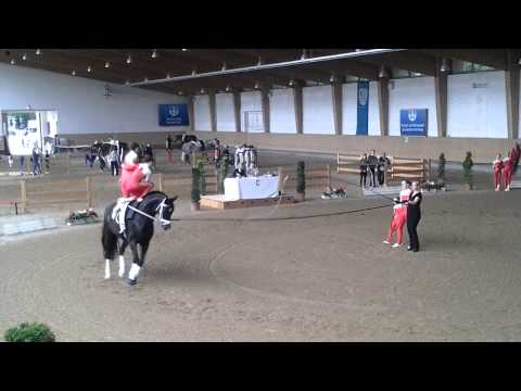 Ampertal 1 Pferd International 2015