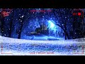 North Pole Cam