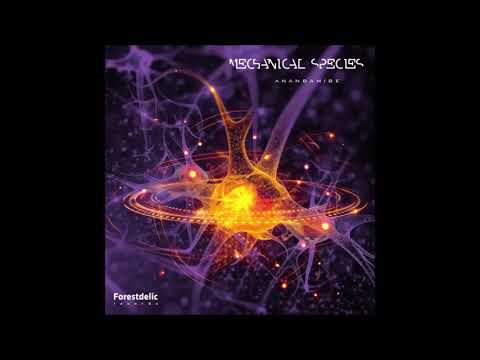 Mechanical Species - Hippiecrites