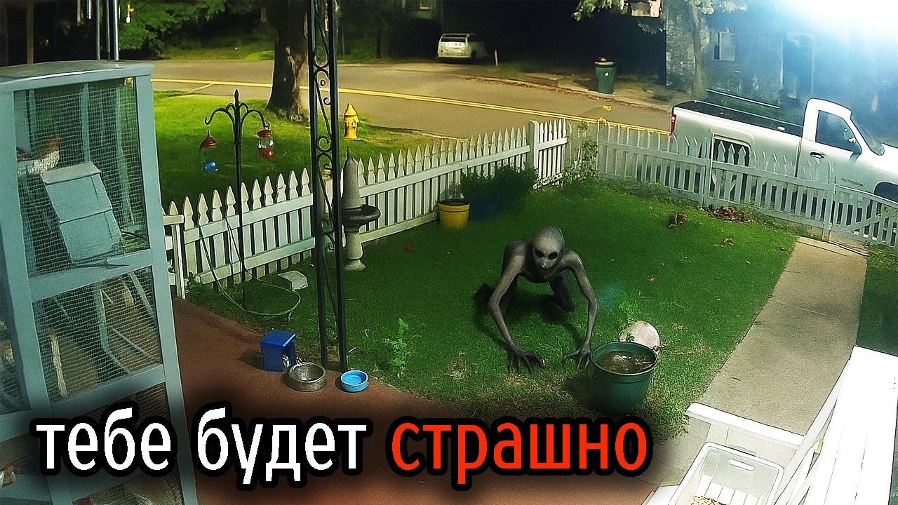 Самые Ужасные Видео со Всего Мира #54