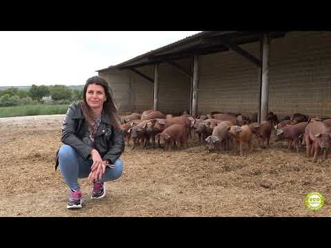 Conoce a nuestros operadores: Delia Gil de Embutidos Gil