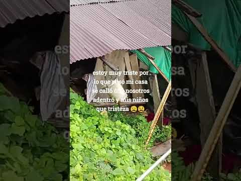 se cayó una cosa en Magui payan Nariño municipal