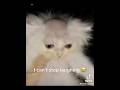 Memes I Found On The Internet Part 4 Funny Memes Shorts