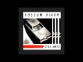 Possum Dixon - General Electric - Star Maps - 1995 ...