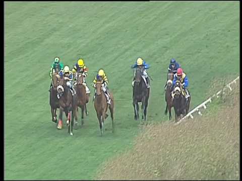 Galoppo 25/02/2017 - 1ª corsa