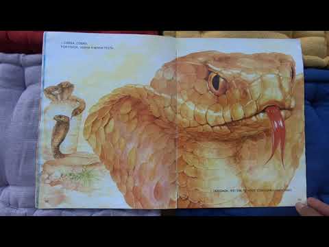 Bruxa, Bruxa, venha à minha festa.