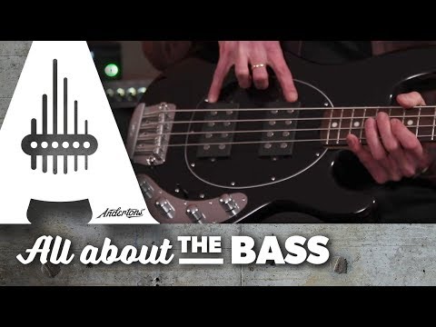 Music Man Stingray Basses - All About The Bass