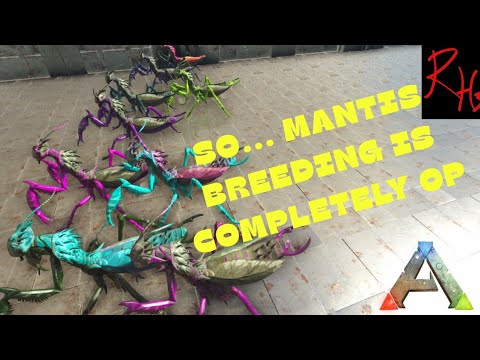 MANTIS BREEDING IS VERY OVER POWERED! - ARK SURVIVAL EVOLVED