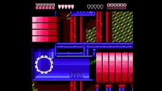 The Deadliest Duckies - Battletoads Part 9