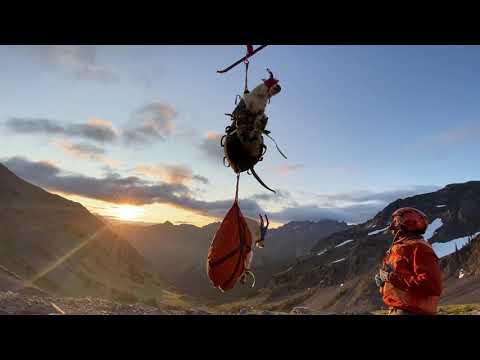 Mountain Goat Capture @ headwaters of Heather Creek, Olympic NP Scott Stingley/Leading Edge Aviation