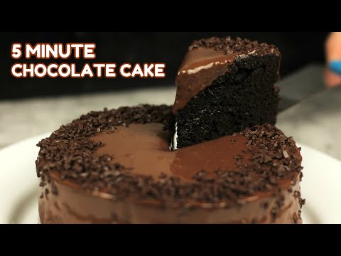 5 MINUTE CHOCOLATE CAKE! [No Oven, No Steam, No Butter, No Eggs, No Milk]