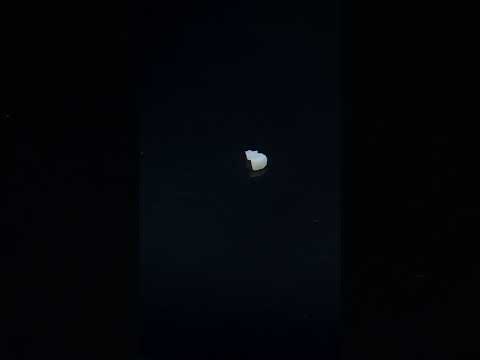 YouTube 썸네일