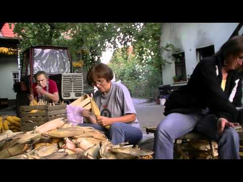 TRGANJE IN LIČKANJE KORUZE PR MERT, 26. 9. 2011.mpg