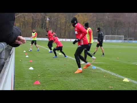 1. FC Köln: Hütchenlauf als Reaktionstraining