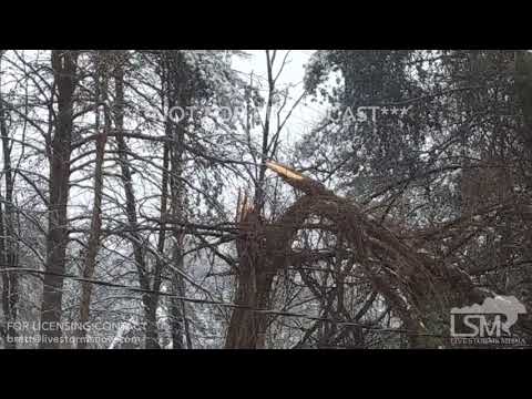 02-20-19 Stewartsville, VA -Freezing Rain Causing Trees to fall ,Power Lines Hit