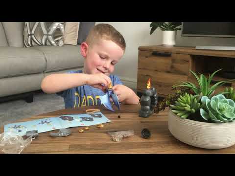 Playmobil Knights - 5657 Dragon Knights Carry Case Review