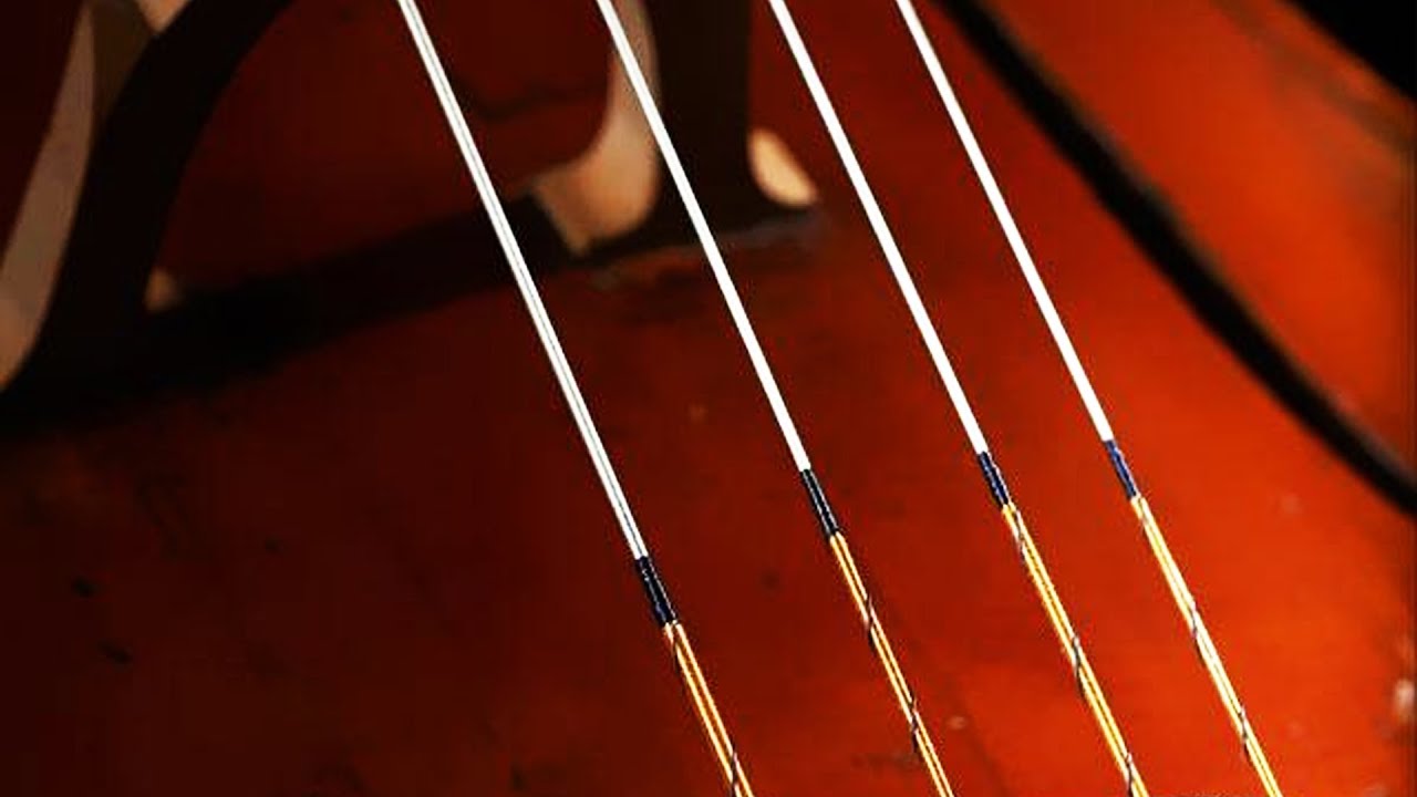 Best Cello Strings in 2026 (Tested and Reviewed)