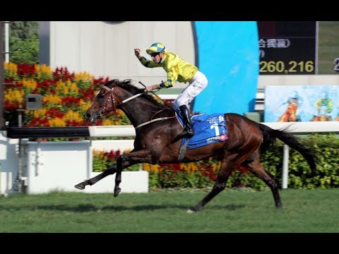 2017 HK Champions And Chater Cup