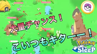 マスター2 チャンス大量でガルーラにも出会えたのに…【ポケモンスリープ】