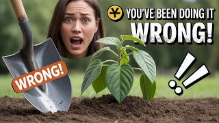 5 Gardening Myths You Need to Forget Now