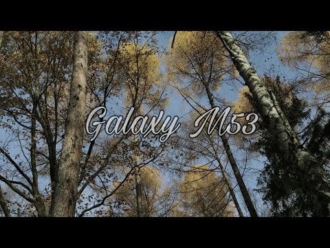 Тестирование камеры Samsung Galaxy M53