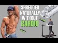 Shredded Without Cardio Blueprint