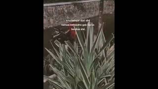 Download lagu STORY WA 30 DETIK TERBARU || STORY WA TERBARU || GEGEWEPRET STORY #storywa mp3 Download lagu STORY WA 30 DETIK TERBARU || STORY WA TERBARU || GEGEWEPRET STORY #storywa mp3