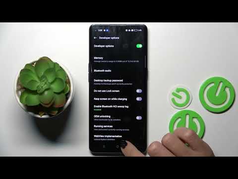 How to Enable Automatic System Updates on OPPO Find X2 Neo?