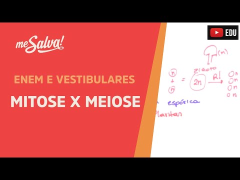 Me Salva! CIT24 - Citologia - Introdução à divisão celular 2: Mitose X Meiose