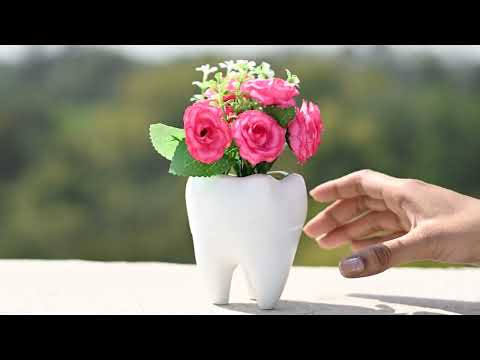 iDENTical Tooth Shaped Flower Pot MD-118 | Perfect Gift & Decor for Dental Clinics