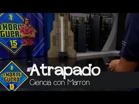 Cómo reducir a delincuentes a distancia: Marron queda 'atrapado' con este invento - El Hormiguero
