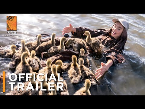 Spread Your Wings (2019) Official Trailer