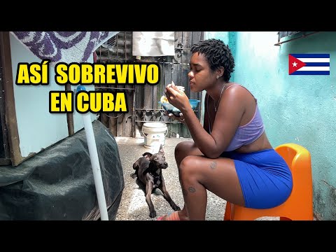 VIVIR EN CUBA: Un Día Sobreviviendo Conmigo en La Habana 2026(Experiencia Real)🇨🇺