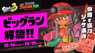 ビッグランやろうぜー！