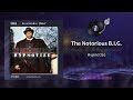 The Notorious B I G Hypnotize Feat Pam Long Hip Hop 1997