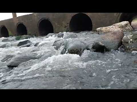 viral #Kakinada #beach #travel