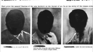 MELVINS --- Stalin's solution (2007)