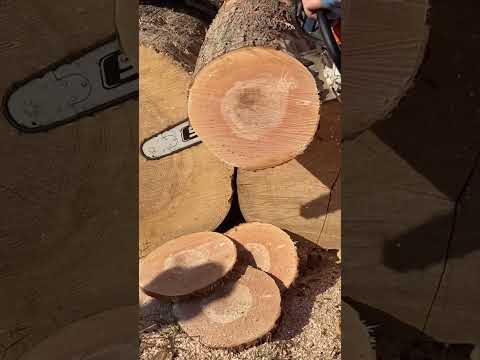 Stihl 661 vs Husqvarna 592 @765Guys