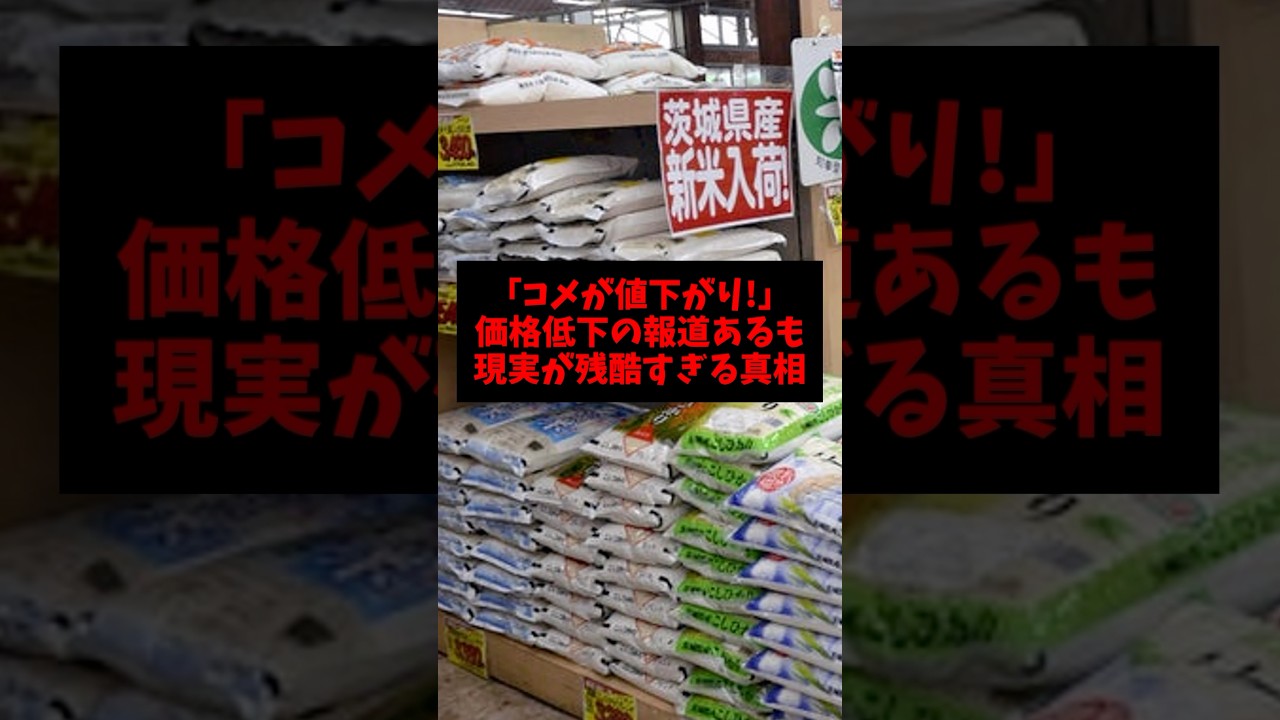「コメが値下がり!」価格低下の報道あるも現実が残酷すぎる真相 #高市首相 #ゴシップ #雑学 #お米 #物価上昇