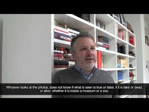 ON | OF Andrea Alessio (fotografo) - Spresiano, Lovadina (TV)