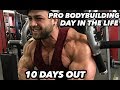BODYBUILDING MOTIVATION - REGAN GRIMES 10 DAYS OUT