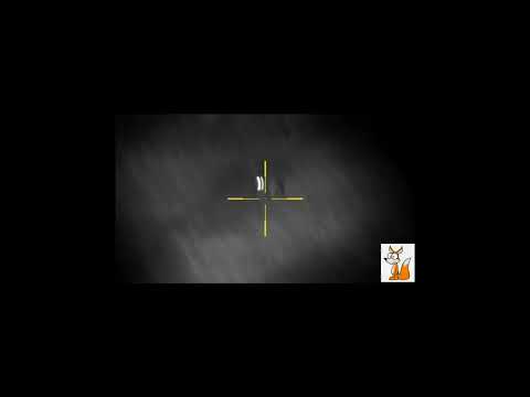 Fox Hunting South Australia with .204