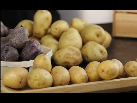 , title : '„Ziemniaki czy kartofle?” – Fakty i mity o ziemniaku'